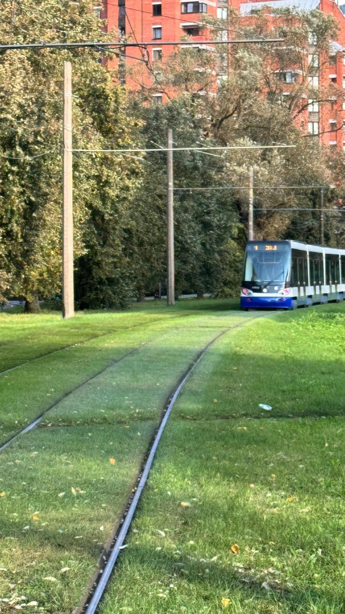 Metropolia Deluxe
